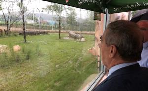 Foto: Bingo / Milan Bandić došao da vidi lava u Zoološkom vrtu Bingo